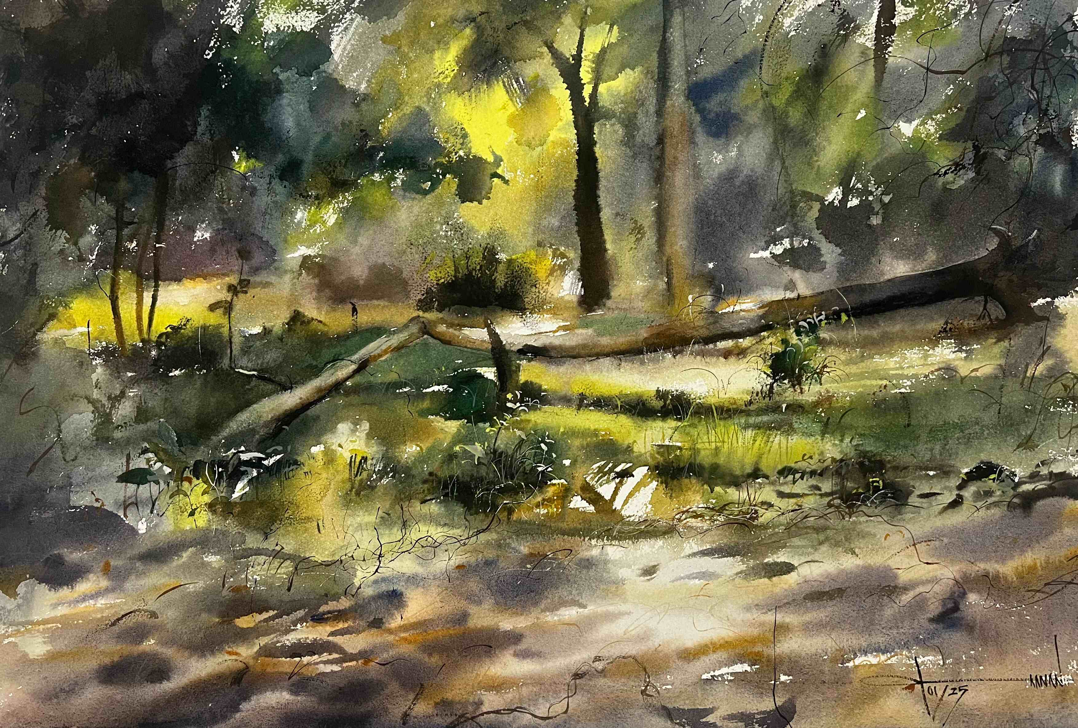 Kaanan Khandelwal- WATER_COLOUR