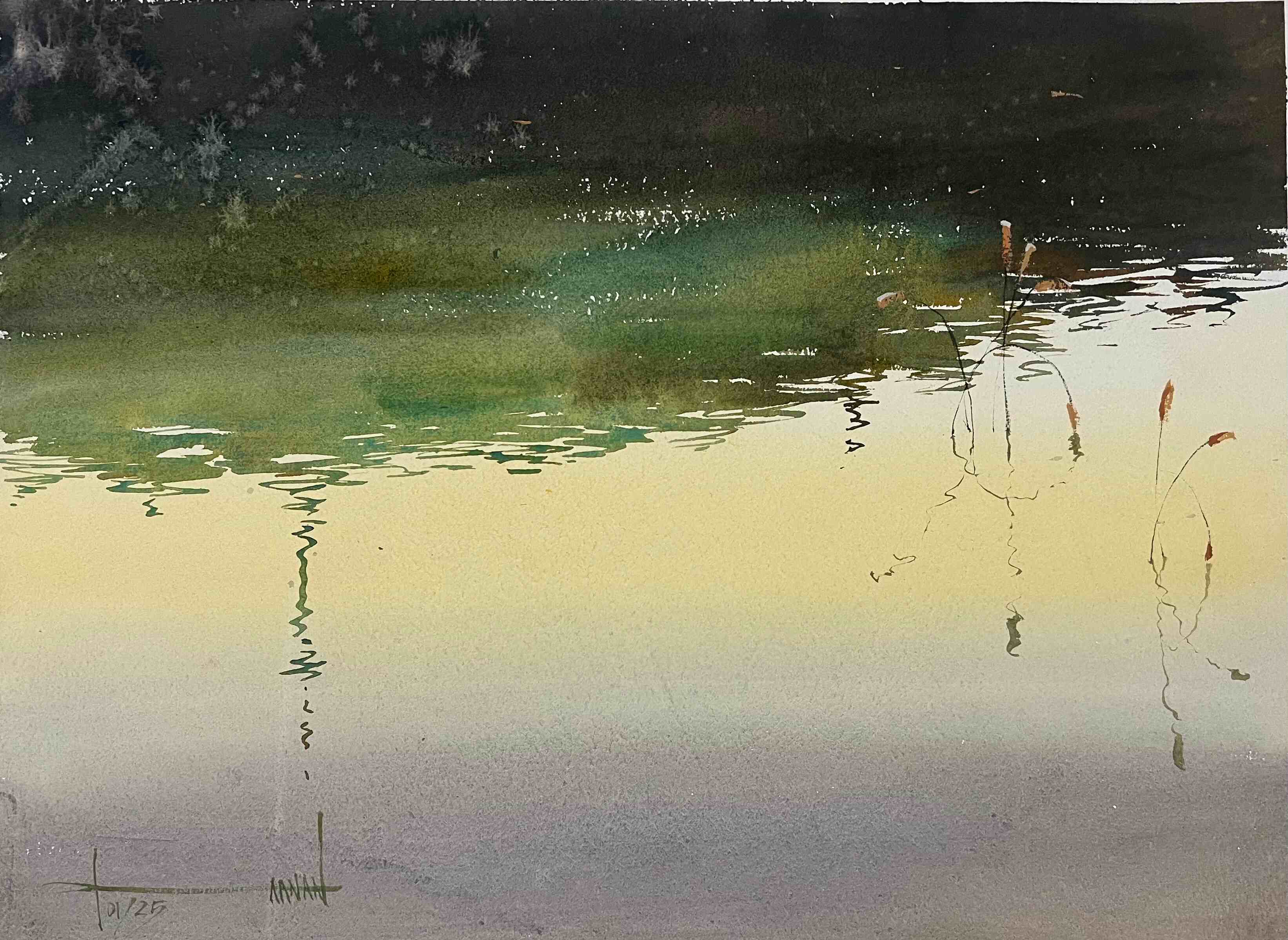 Kaanan Khandelwal- WATER_COLOUR